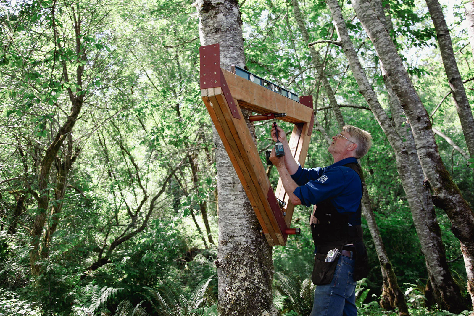 3 Tree 1 Yoke TF Kit - Image 6